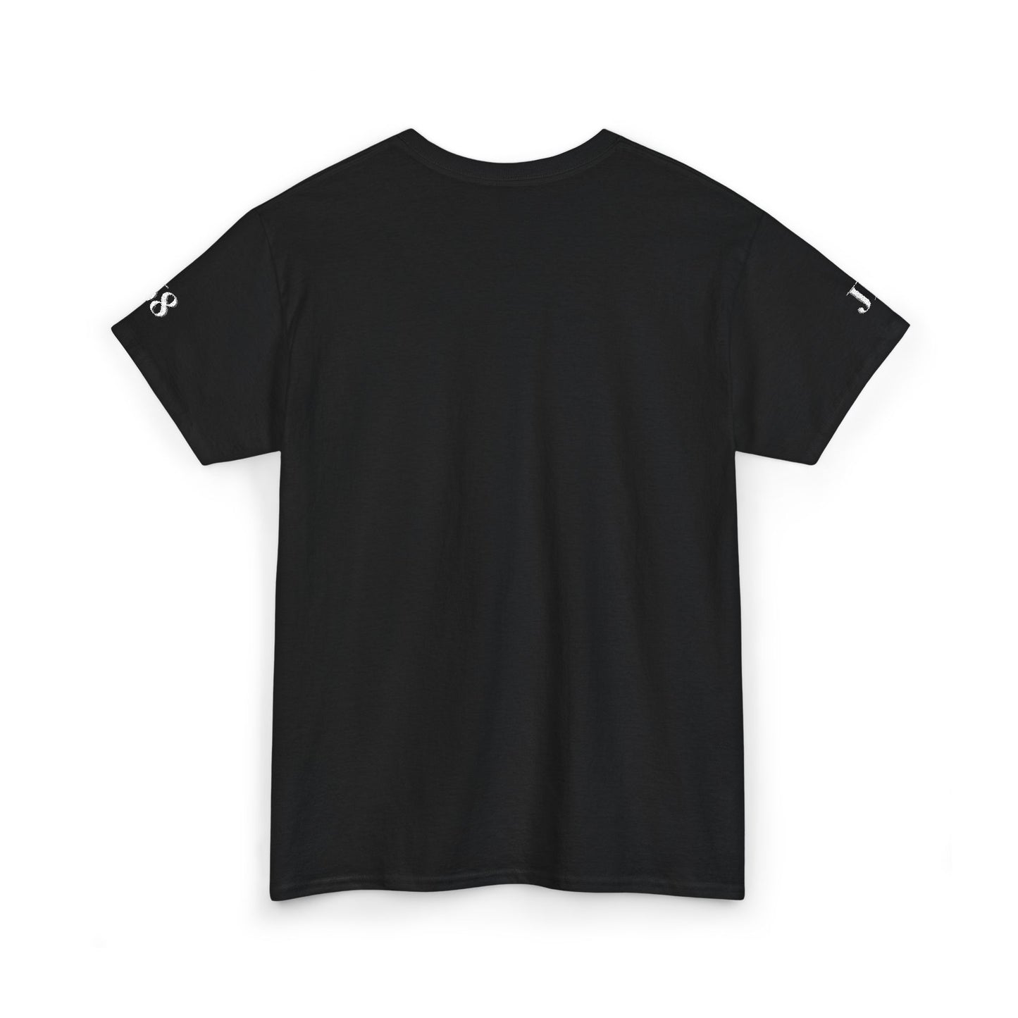 Heavy Cotton Tee (Embroidery)