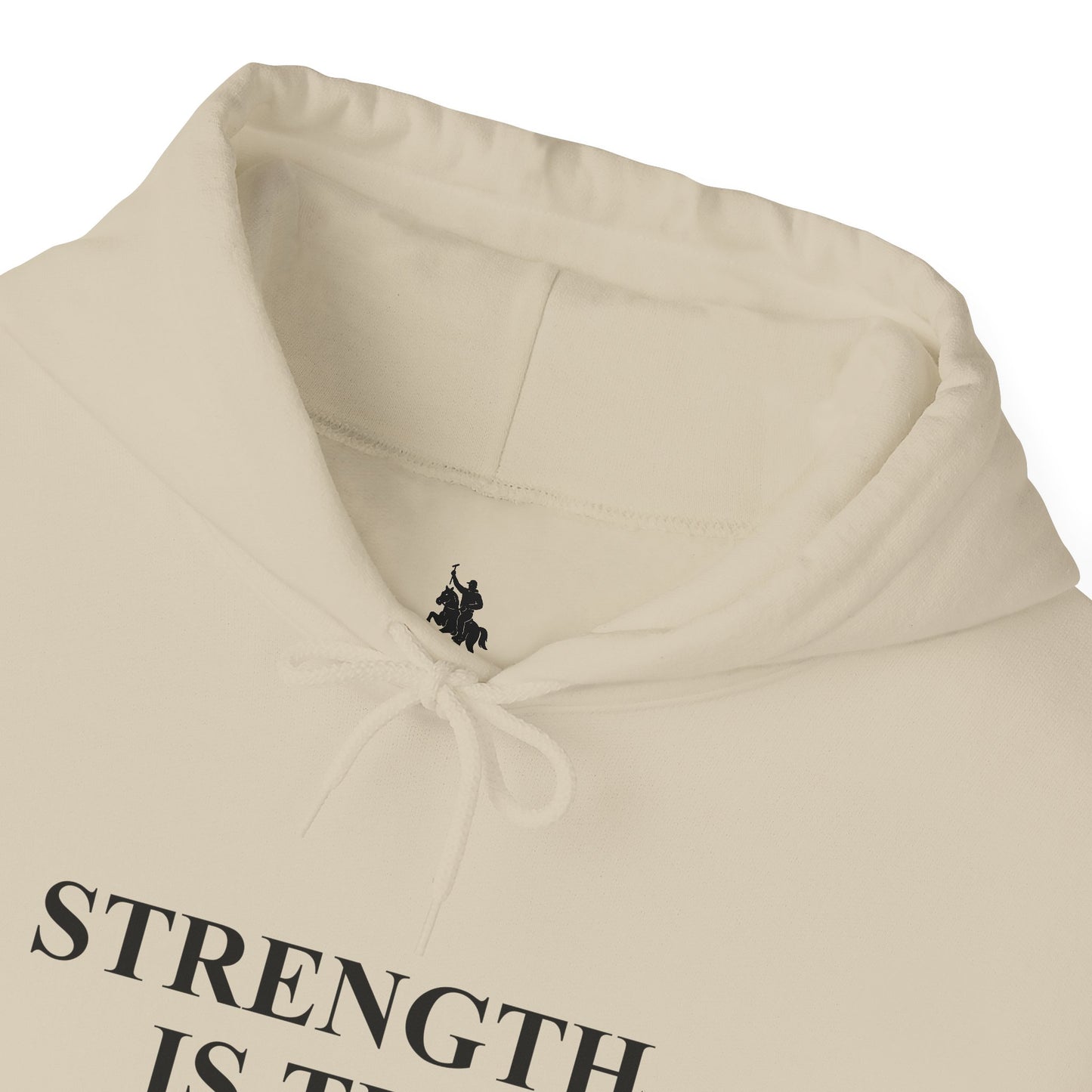 Heavy Blend™ Hooded Sweatshirt